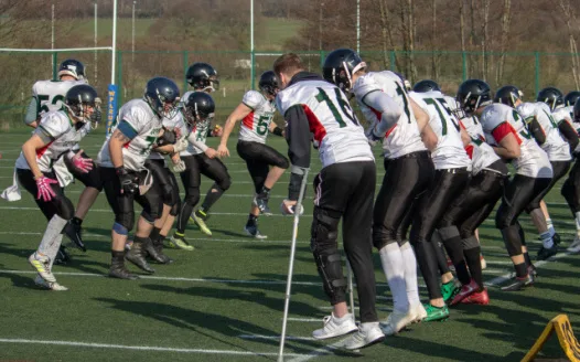 Injured Gryphon Bursary Proposal