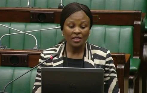 Petition demanding that  Public Protector  finalizes and releases her report relating to the R26 billion stolen by apartheid era leaders,