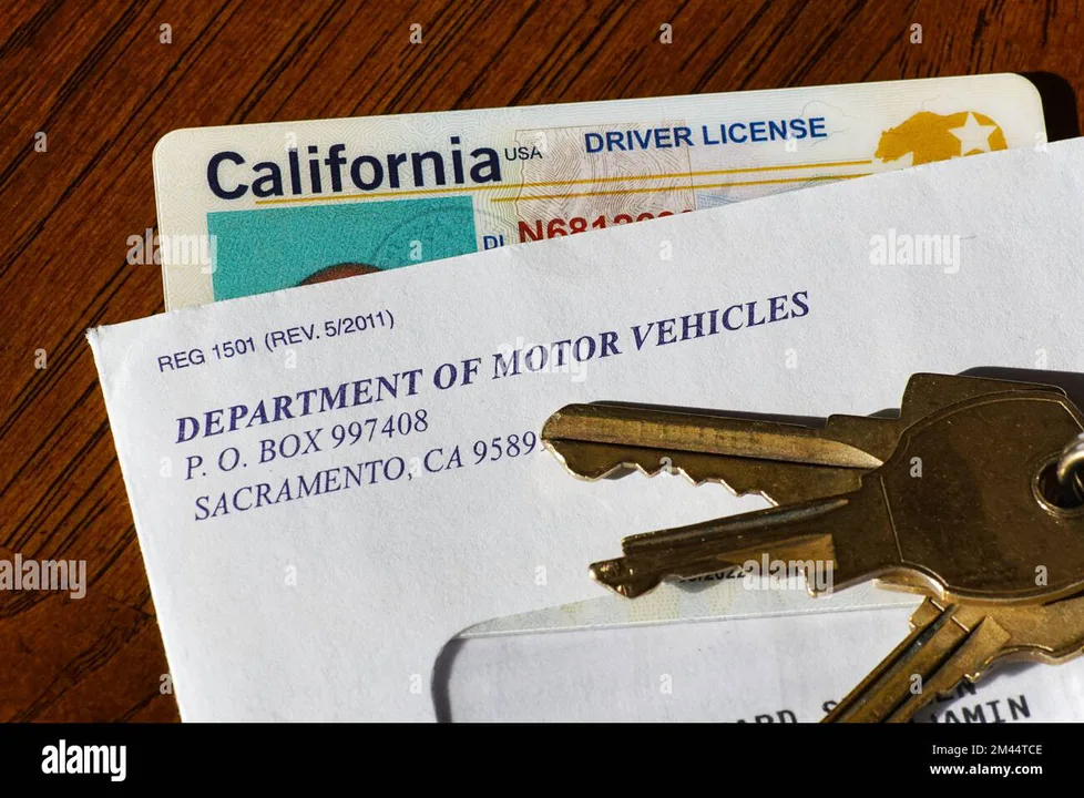 Secretary of State Reinstate Drivers License