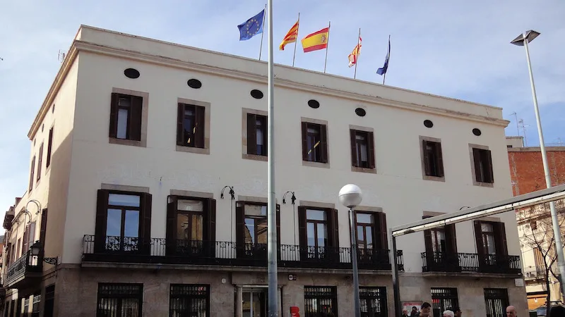 SALVEMOS DE NUEVO A LOS GATOS DEL AVE