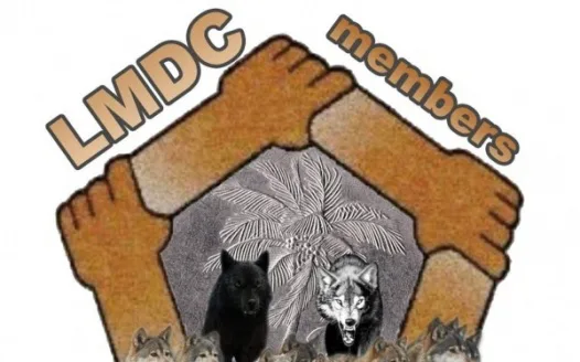 Remove LMDC BADDANG PROGRAM or make it optional