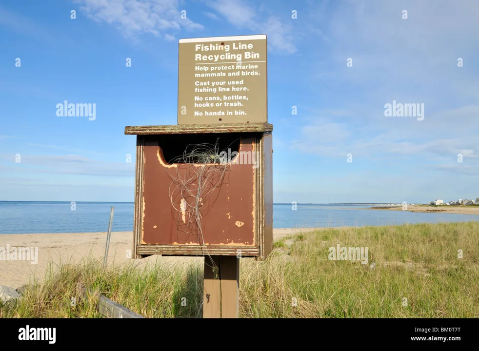 Petition to add recycling bins along the beaches of York, Maine