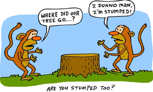 Save The Forest
