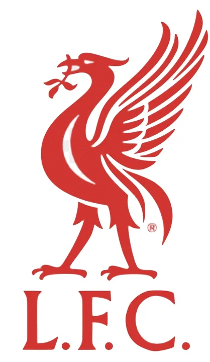 To End the Tenure of Rafa Benitez at Liverpool Football Club