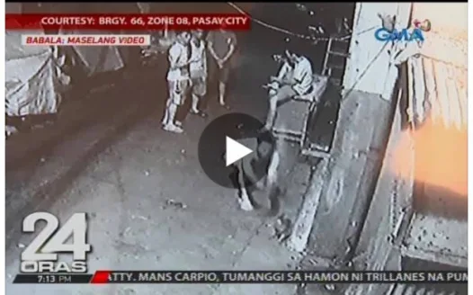 Jail the 5 Young Men Who Hit a Cat with a Wood