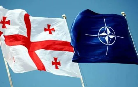 სამოქალაქო საზოგადოების ორგანიზაციების პეტიცია ჩრდილოატლანტიკურ საბჭოს / Petition of Georgian Civil Society organizations To the North Atlantic Counci