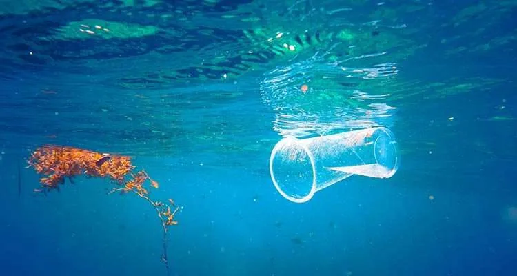 WeWork commit to minimizing waste, zero plastic, and clean energy NOW