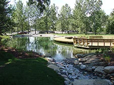 Stocking the Pond in New Brighton, SE Calgary, Alberta with Trout