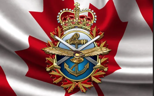 Pétition Renverser le Gouvernement de Justin Trudeau par Les forces d'Armées Canadiennes