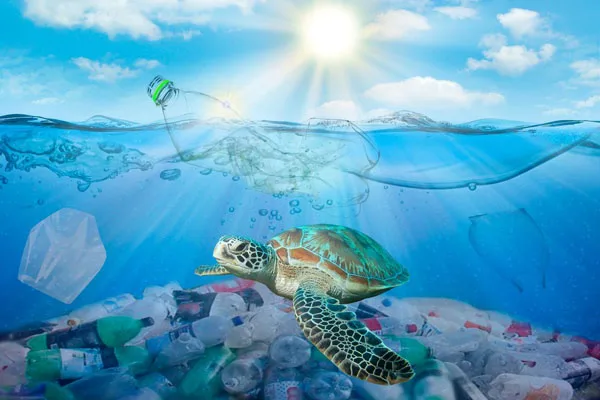 Clean our oceans
