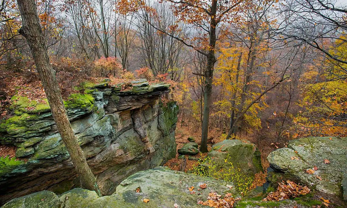 Save Hinckley Bridle Trails