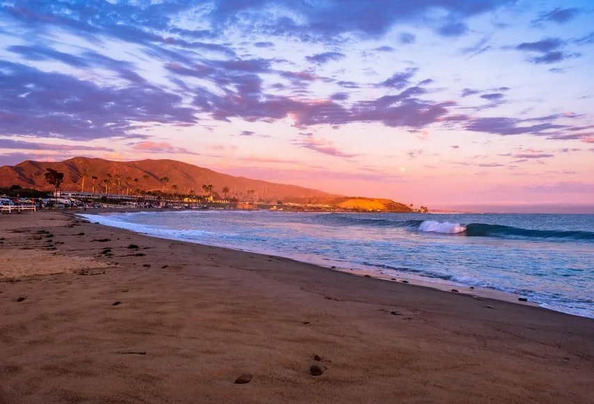 Protect Trestles - Stop the Toll Roads!