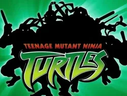 TMNT 2003 Box Set