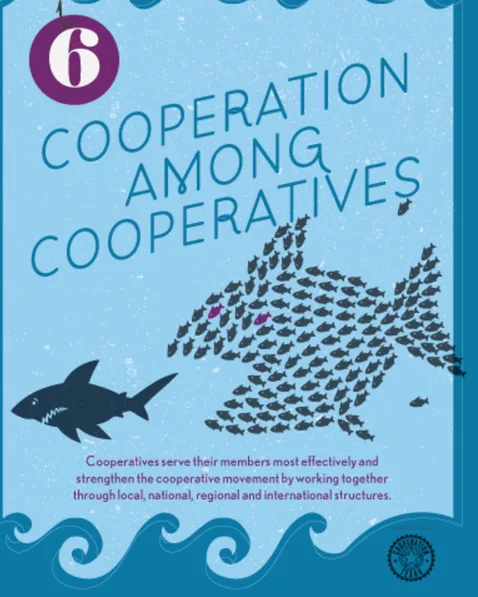 We Want REI to Support Co-ops!