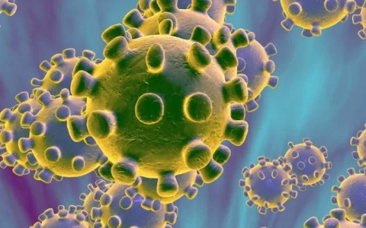 Close all schools in Tennessee due to the coronavirus outbreak