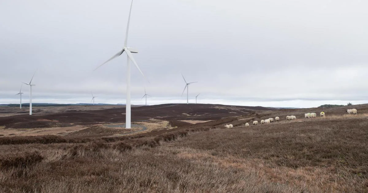 Fight Fenrother Windfarm