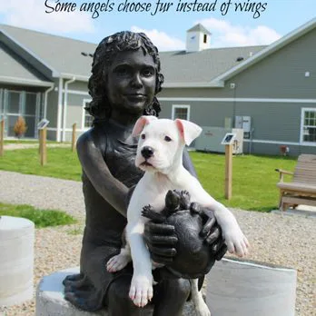 Removal of Licking County Dog Warden Luzio