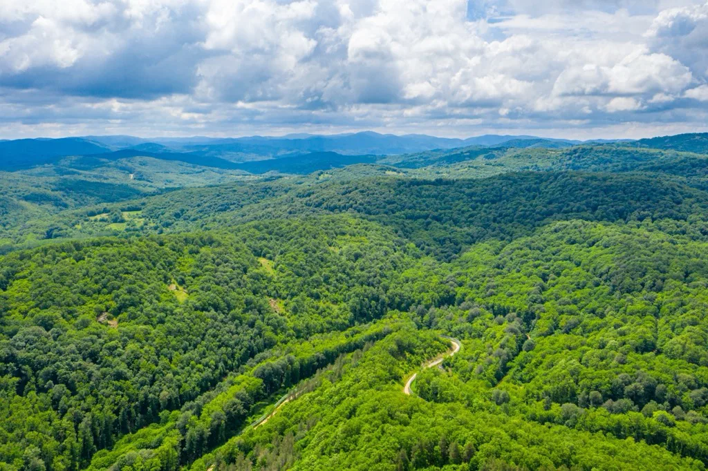 SAVE STRANDJA NATURAL PARK IN BULGARIA!