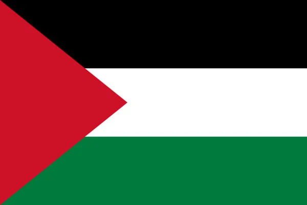 Calling on DAE to show solidarity with Palestine