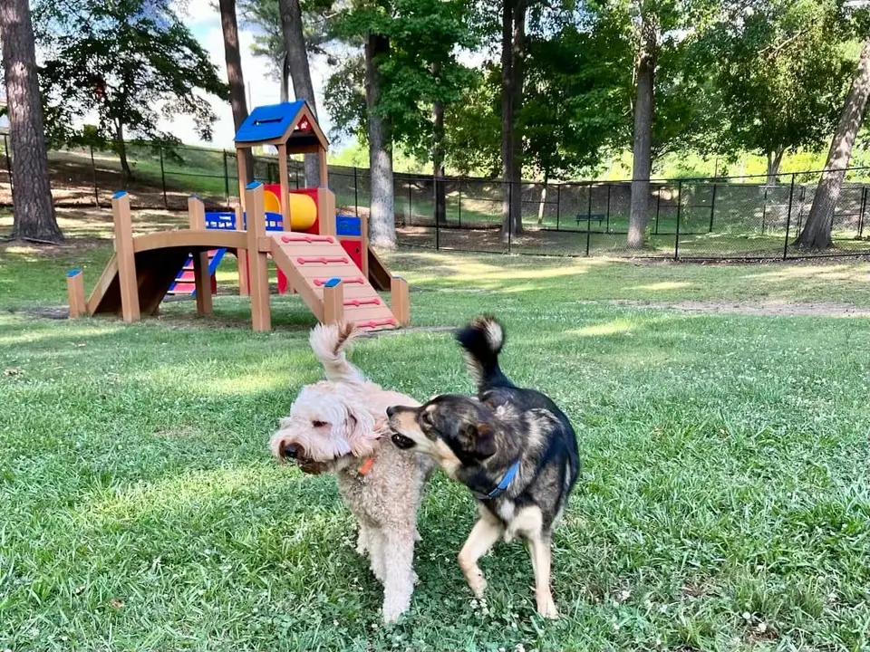 NOMA Bark Park