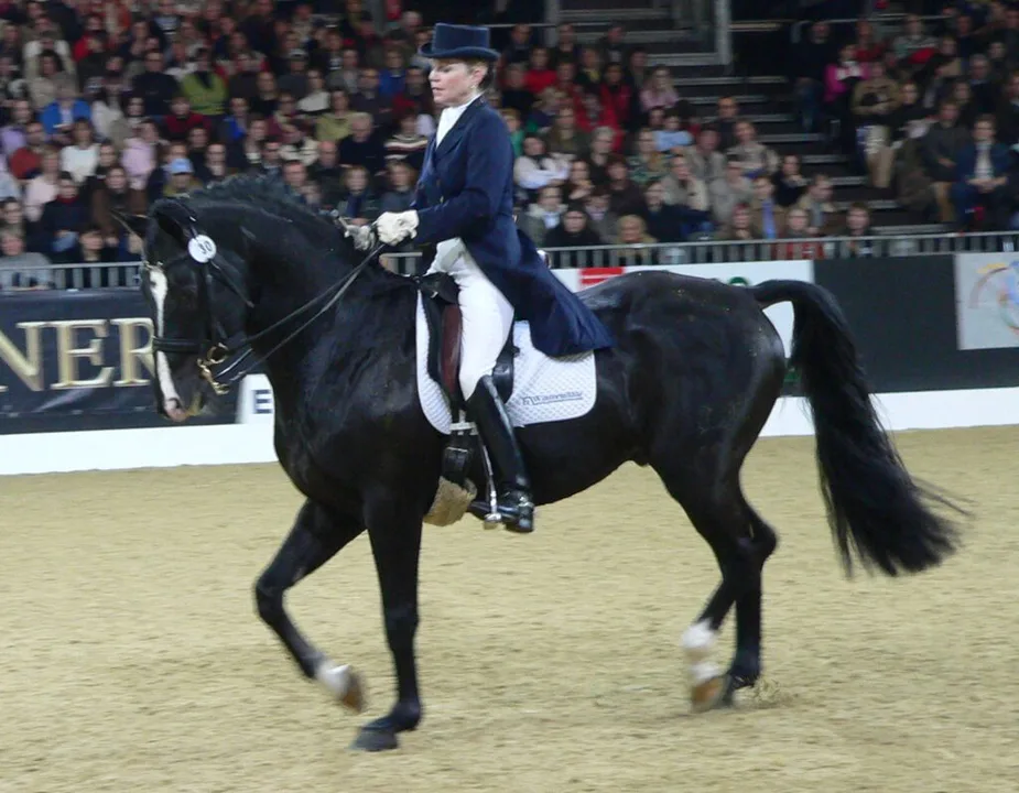 Equestrian Sports in the olympics
