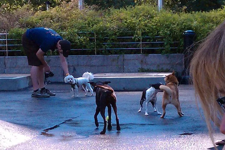 A DOG PARK AT CLARKSON & HUDSON STS.