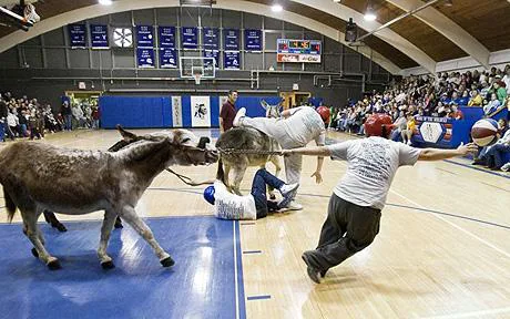 Boycott Donkey Basketball