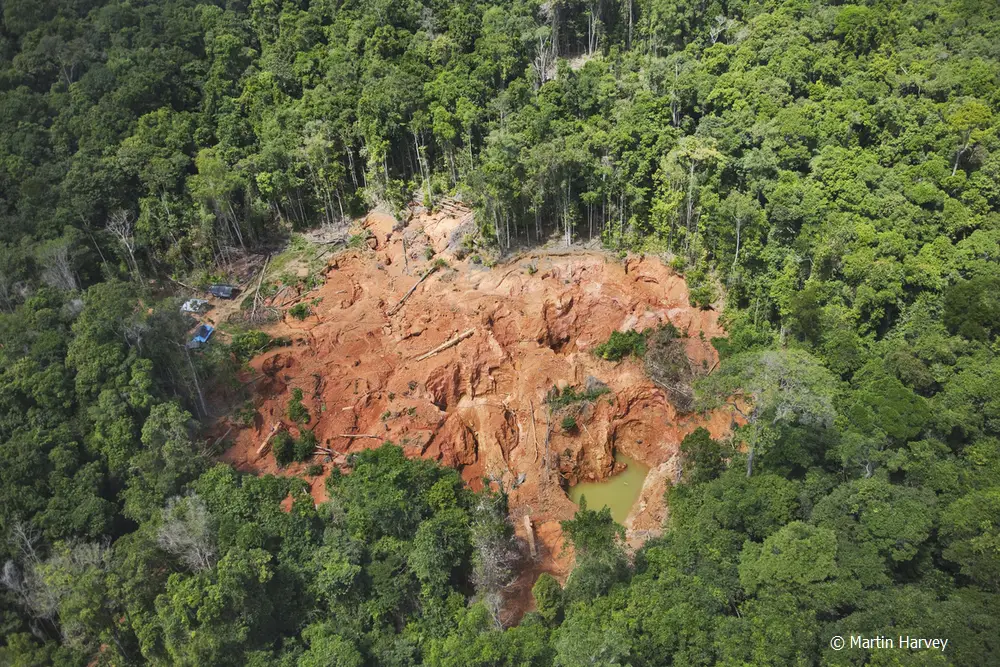 Petition to Revoke the Allocation of 3,000 Bighas of Eco-Sensitive Tribal Land in Dima Hasao to Mahabal Cement Company and Protect the Region's Biodiv