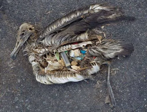 Clean up Hounslow!