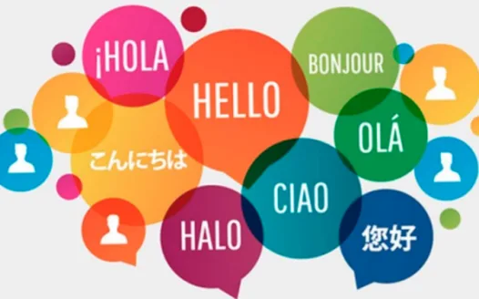 Petition for the Provision of Summer Session Language Electives at UOW