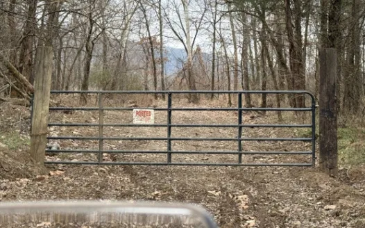 Creek Fork Road