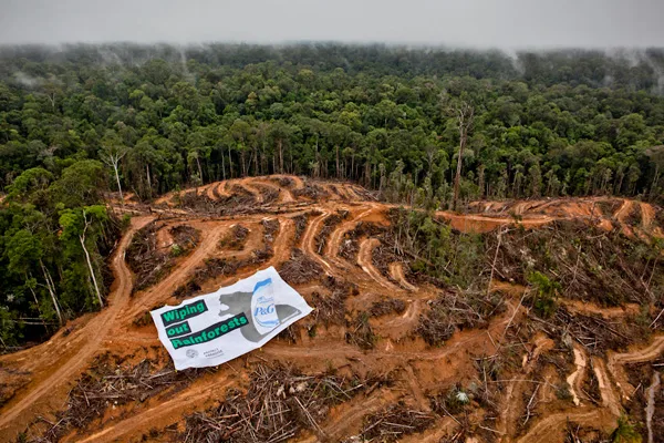 Label Palm Oil In Australia