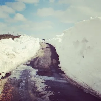 Keep Bradfield Parish Gritted