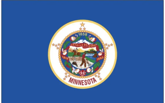 Keep the Original Minnesota State Flag