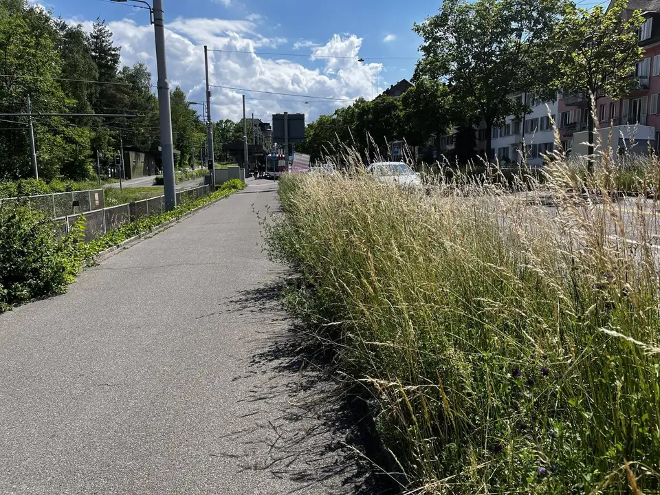 Say NO! To Bylaw 886