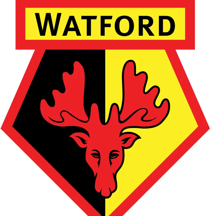 Watford FC Need a Decent MC Before Our First Premiership Game
