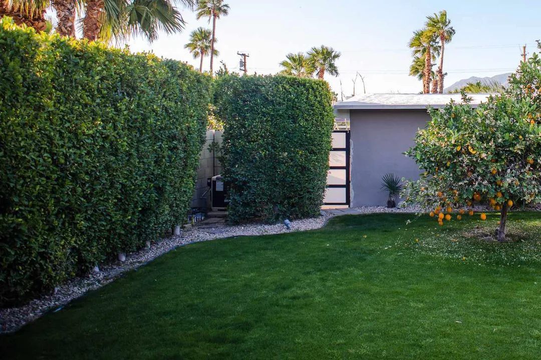 Friends of Venice Hedges and Fences!
