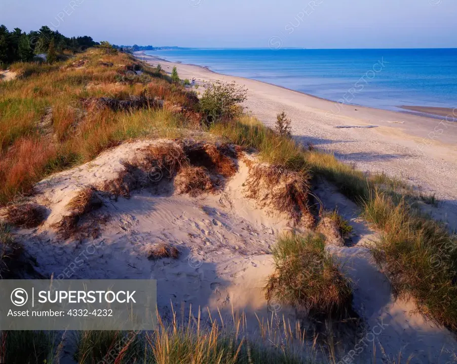 Stop the Development of the Bluewater Dunes Park