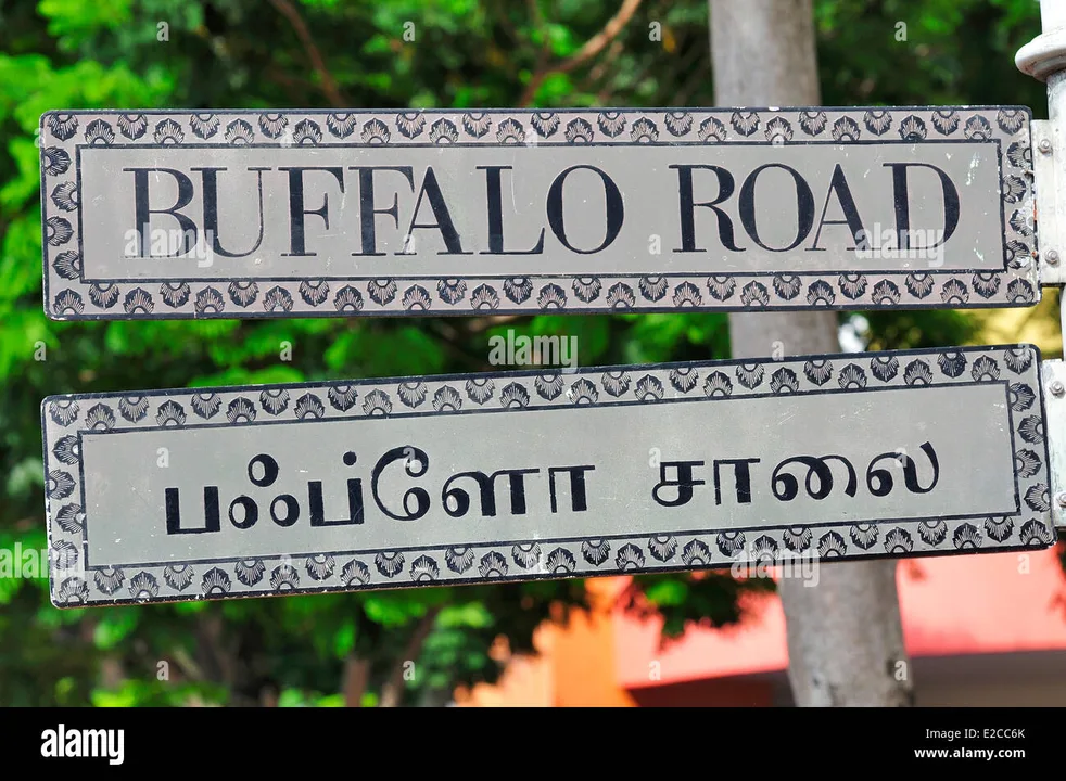 I want Tamil in Singapore's official signboards