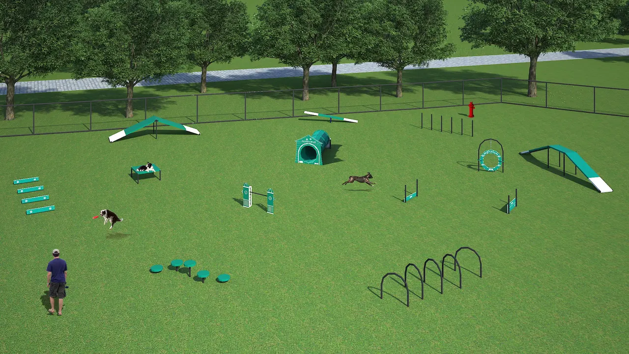 dog agility course in bournemouth