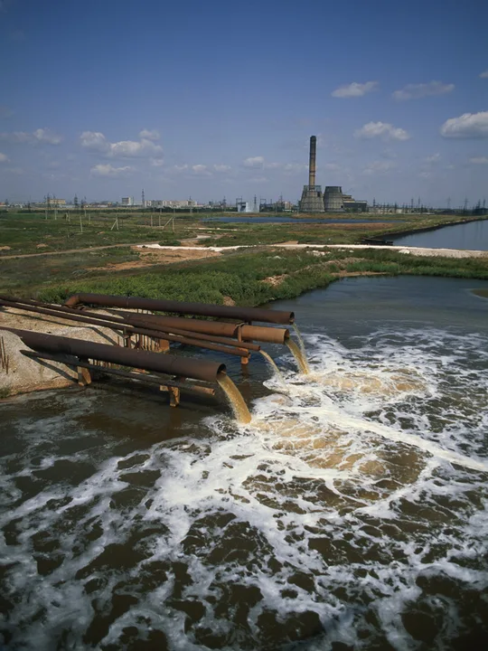 Help Clean Up Hen Island Effluent