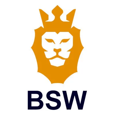 Help Us Save Our BSW Teachers