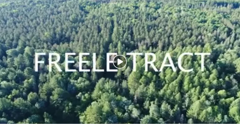 Ministry’s surprise proposal threatens natural heritage protections at the proposed waste processing complex in the Freele County Forest