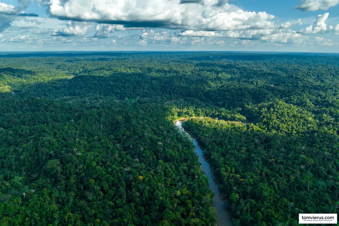 We can save the Yasuni Park