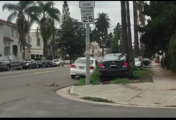 Parking Petition 2