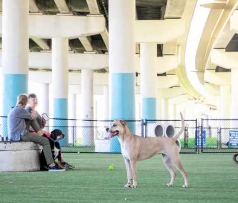 Creation of Dog Patch Park in Western Journal Square/Marion Warehouse District Jersey City