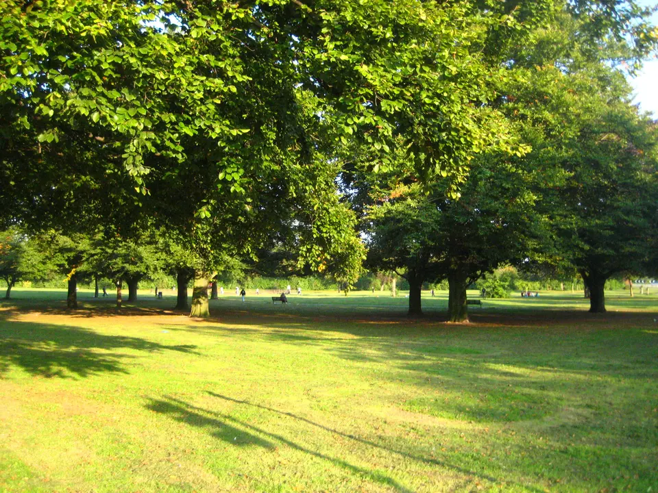 Petition to stop Labour selling Stafford Avenue Park, a public green space, for housing.