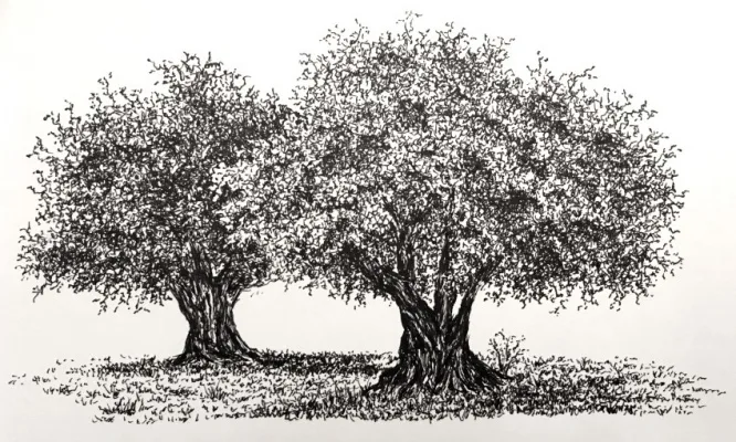 Trees for Park Circle