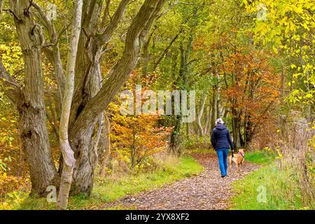 Geen hondenverbod in het veenbos heusden-zolder