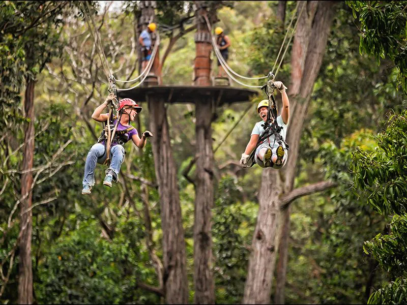 NO to Zipline in Lynwood